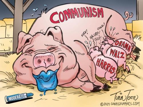 08-21-24 Lipstick on a pig