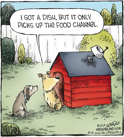 Screenshot 2024-08-16 at 07-29-01 Speed Bump by Dave Coverly for August 16 2024 - GoComics