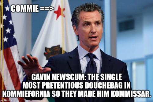 Kommisar-gavin