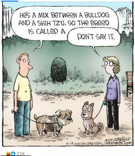 For Candi and Felony