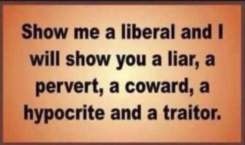 lib liar