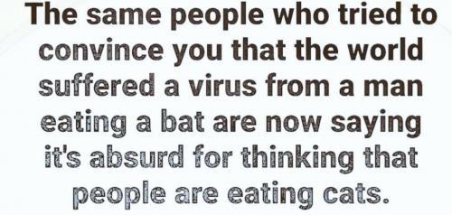 5562fb00-98c5-44d9-abbf-4cffcb8e0d22