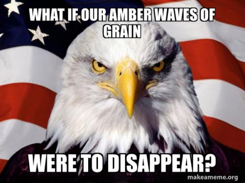 what-if-our-558e98f179
