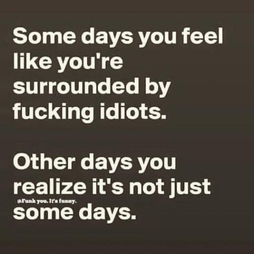 Surrounded by idiots