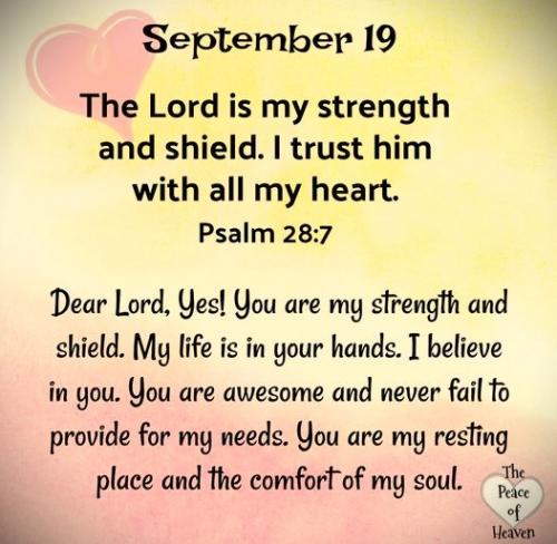 091924 - Strength & shield; Ps 28-7