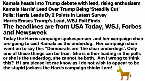 Kamala Thinks We R Stupid Jackass