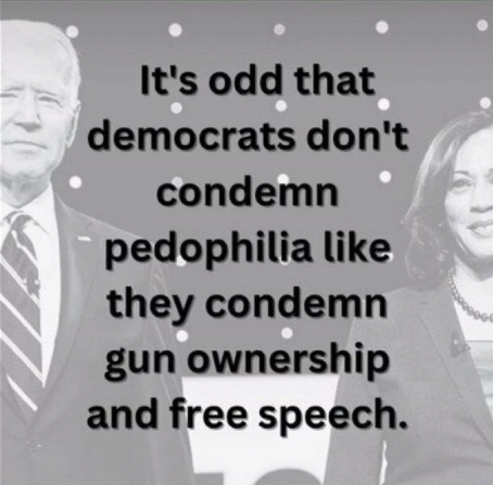 democrat corruption 116