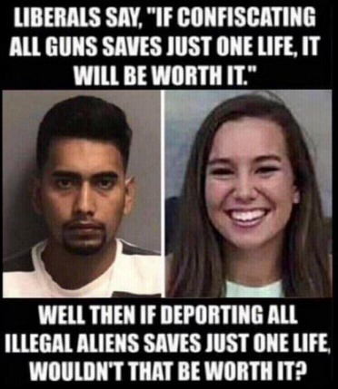 Liberals, Illegal Immigration vs. Guns -- Confiscation of One to Save One Life will be worth it