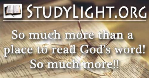StudyLight (Logo)