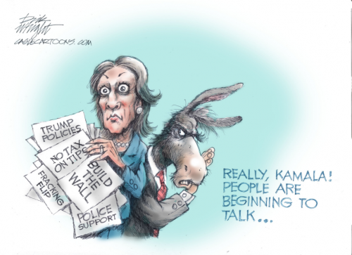 kamala-policies