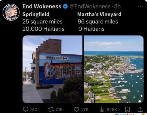 MARTHAS VINYARD   TS