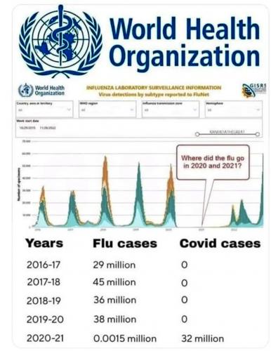 covid reg flu