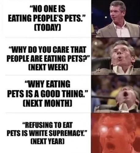 1000031550