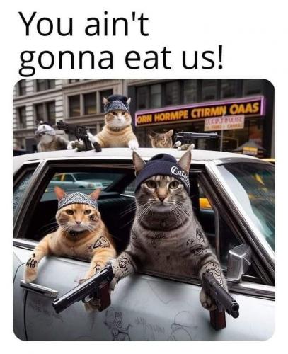 1000019933