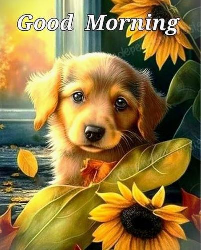 091824 - Gm Puppy