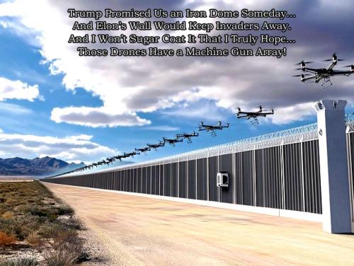 Trumps Iron Drome and Elons Wall