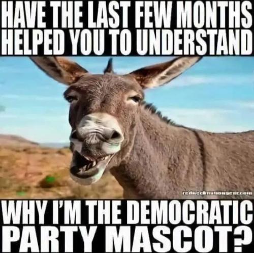 THE LAST FEW MONTHS   TS