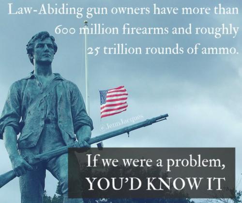 LEGAL GUN OWNERS