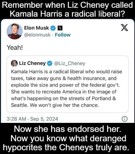 Remember when Liz Cheney
