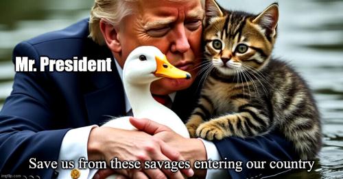 President Trump Save Us From The Savages