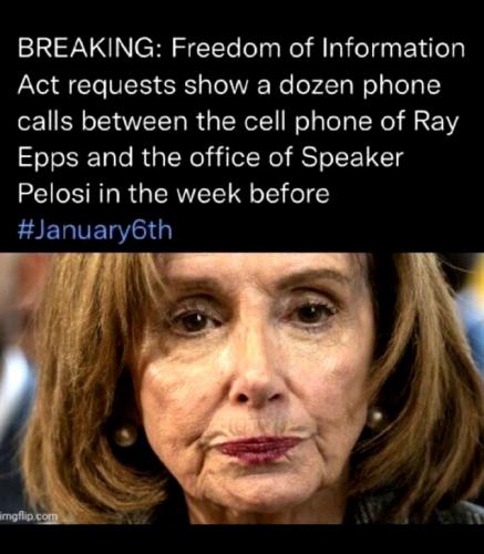 Pelosi ~Ray Epps Handler~