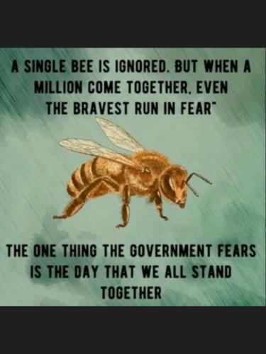 170b6f90-01c3-4ba4-85d2-6905e937e3d9