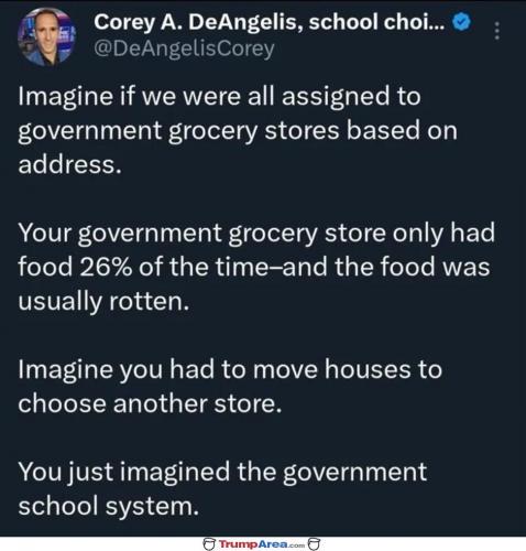 government-school-system