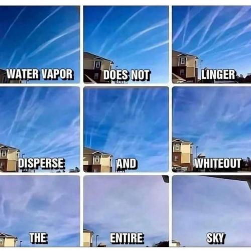 6c792f1a-4822-463d-bf13-27dddc552a3c