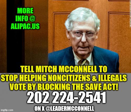 LiberalsAndRinosHelpingNonCitizensVoteToCheatIn2024PresidentialElection