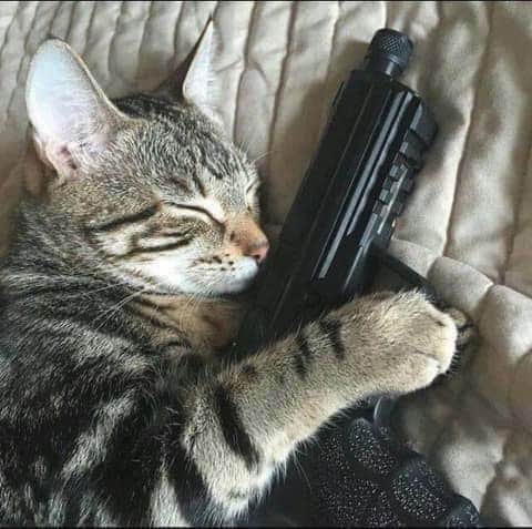 aaa