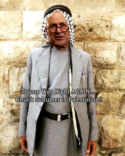 Trump Was Right AGAIN ~ Chuck Schumer is Palestinian~ 2