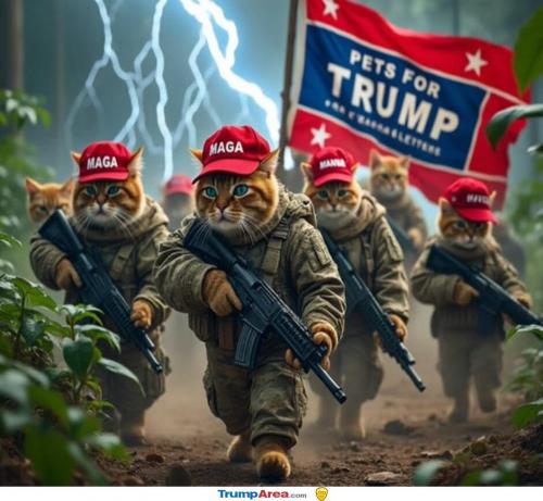 for-trump