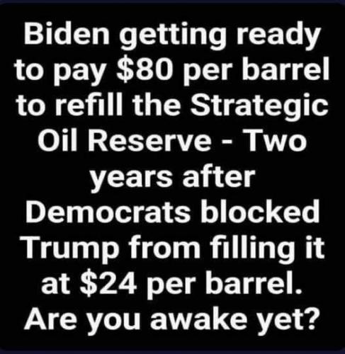 BIDEN OIL