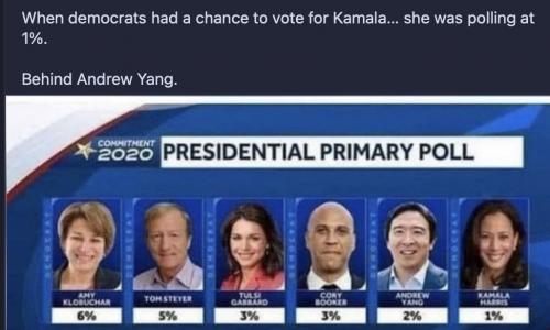 Actual dems 1%