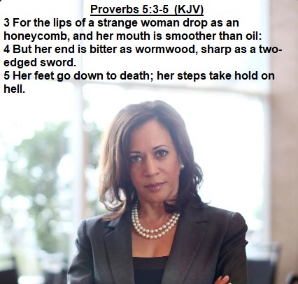 Proverbs 5.3