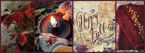 45788026_2011352065595580_7661640529808982016_n