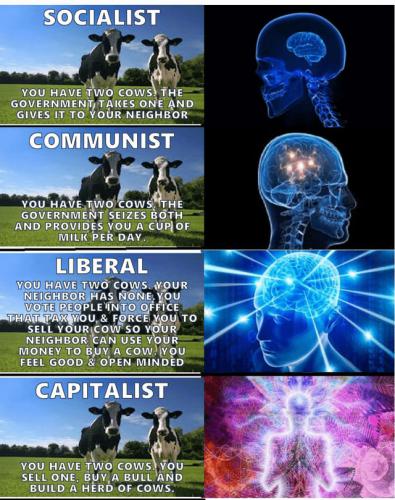 459029766_535508285511720_9171542792376366756_n
