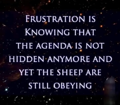 democrat corruption 141