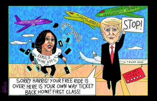 IMG_20240915_024520_514