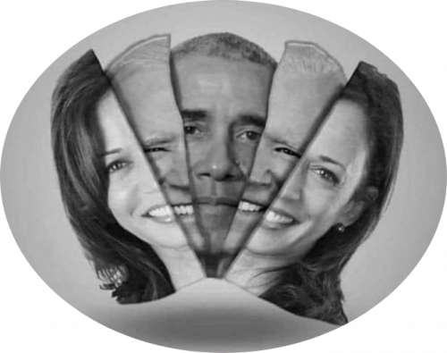 Biden and Harris 65