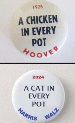 1000031501