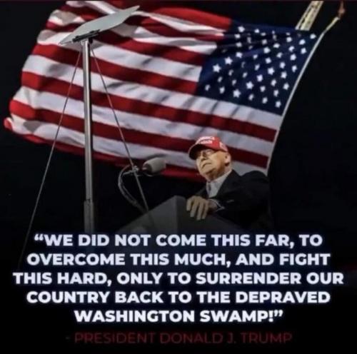 swamp
