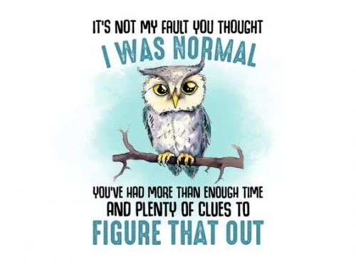 460433391_1072294901134296_6894979814919933171_n