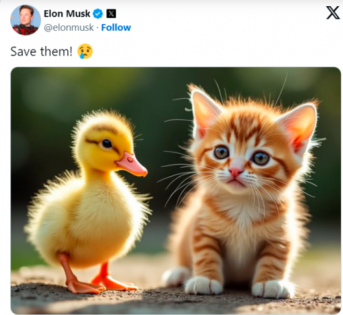 Elon sys save them