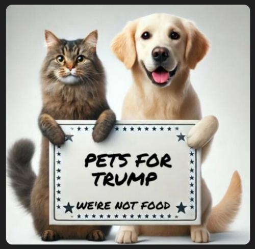 86879979eb33dc0831dd0127c006116e_768x0