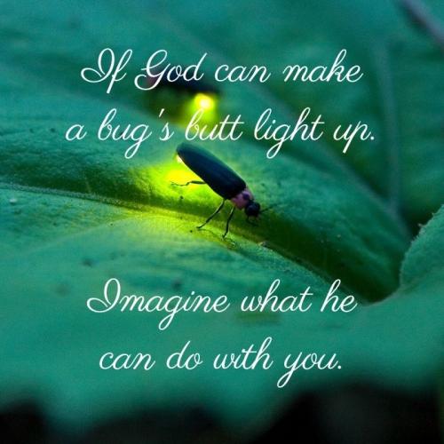 If God can make a bug's butt light up.800px