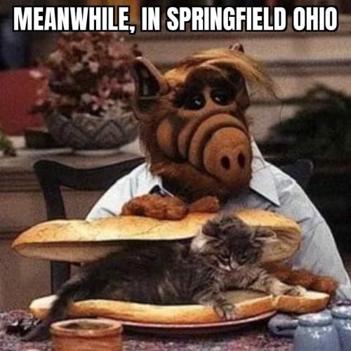 FB_IMG_1726098979465