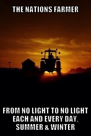 tnffnltnl