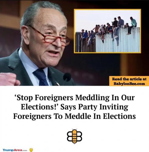 stop-the-meddling