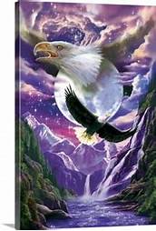 Mtn hi eagles